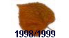 1998/1999