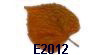 E2012